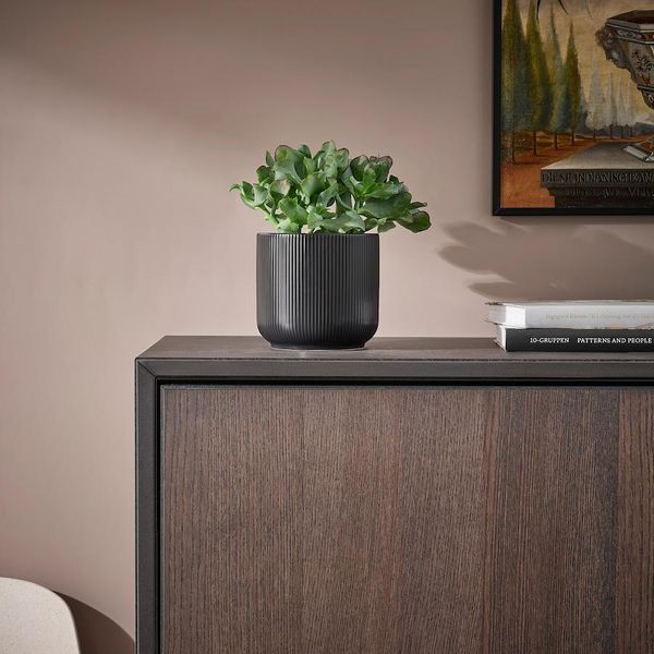 Горшок для цветов IKEA GRADVIS Высота - 12 см Керамический 504.947.92 504.947.92 ➜ Пакуємо МИ📦 фото