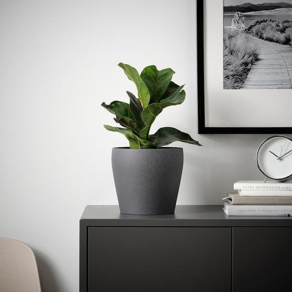 Горщик для квітів IKEA PERSILLADE Діаметр - 15 см Керамічний 005.256.11 005.256.11 ➜ Пакуємо МИ📦 фото