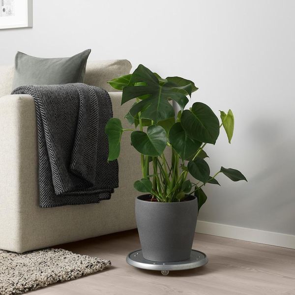 Горшок для цветов IKEA PERSILLADE Диаметр - 19 см Керамический 903.467.66 903.467.66 ➜ Пакуємо МИ📦 фото
