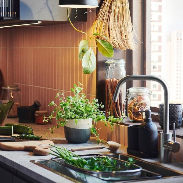 Банка із кришкою IKEA KORKEN 2 л Скляна 902.135.49 902.135.49 ➜ Пакуємо МИ📦 фото