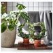 Горшок для цветов IKEA R&Aring;GKORN Диаметр - 32 см Для дома / улицы 404.075.59 404.075.59 ➜ Пакуємо МИ📦 фото 2
