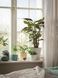 Горшок для цветов IKEA CHIAFR&Ouml;N Диаметр - 9 см Керамический 004.419.04 004.419.04➜ Пакуємо МИ📦 фото 2