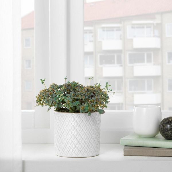 Горшок для цветов IKEA CHIAFR&Ouml;N Диаметр - 9 см Керамический 004.419.04 004.419.04➜ Пакуємо МИ📦 фото