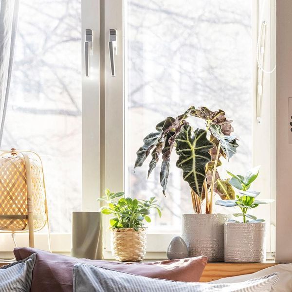 Горшок для цветов IKEA CHIAFR&Ouml;N Диаметр - 15 см Керамический 604.757.93 604.757.93 ➜ Пакуємо МИ📦 фото