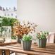 Горщик для квітів IKEA BUSKVERK Діаметр - 9 см Сірий 305.444.58 305.444.58 ➜ Пакуємо МИ📦 фото 3
