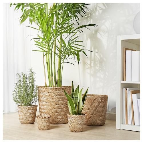 Горшок для цветов IKEA KLYNNON Диаметр - 15 см 605.164.06 Бамбуковая 605.164.06 ➜ Пакуємо МИ📦 фото