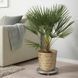 Горщик для квітів IKEA KLYNNON Діаметр - 24 см 205.164.08 Бамбукова 205.164.08 ➜ Пакуємо МИ📦 фото 6