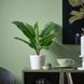 Штучна рослина IKEA FEJKA Діаметр - 12 см Бананове дерево 106.008.60 106.008.60 ➜ Пакуємо МИ📦 фото 2